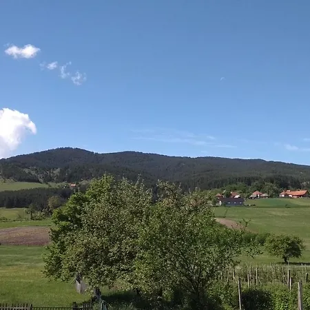 Brvnara Jeftaric Holiday home