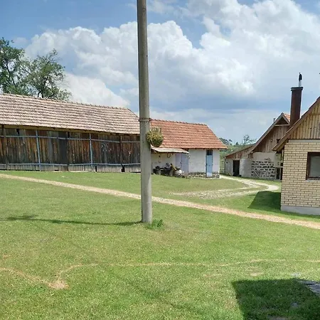 Brvnara Jeftaric Holiday home
